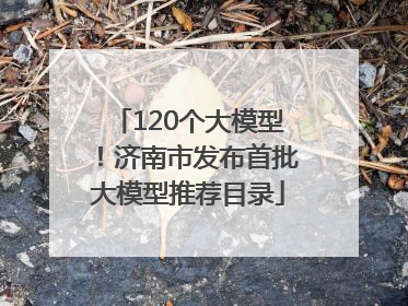 120个大模型！济南市发布首批大模型推荐目录