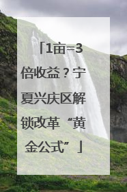 1亩=3倍收益？宁夏兴庆区解锁改革“黄金公式”