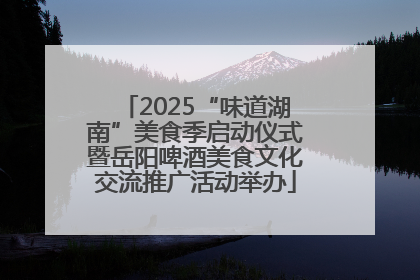 2025“味道湖南”美食季启动仪式暨岳阳啤酒美食文化交流推广活动举办