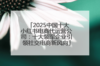 2025中国十大小红书电商代运营公司：十大领军企业引领社交电商新风向