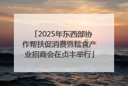 2025年东西部协作帮扶促消费暨糯食产业招商会在贞丰举行