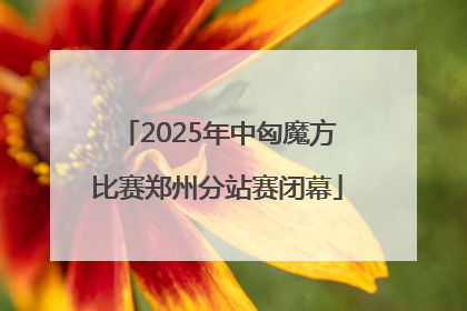 2025年中匈魔方比赛郑州分站赛闭幕