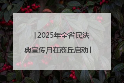 2025年全省民法典宣传月在商丘启动
