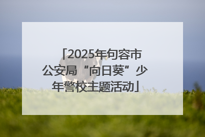 2025年句容市公安局“向日葵”少年警校主题活动