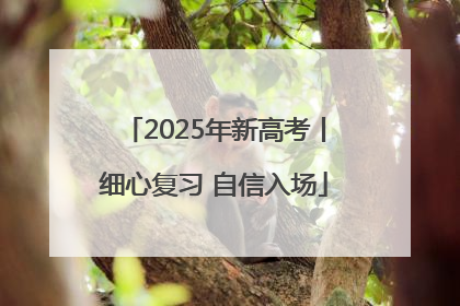 2025年新高考丨细心复习 自信入场