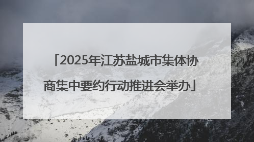 2025年江苏盐城市集体协商集中要约行动推进会举办