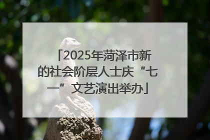 2025年菏泽市新的社会阶层人士庆“七一”文艺演出举办