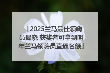 2025兰马最佳领嗨员揭晓 获奖者可拿到明年兰马领嗨员直通名额