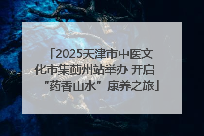 2025天津市中医文化市集蓟州站举办 开启“药香山水”康养之旅