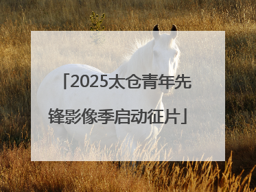 2025太仓青年先锋影像季启动征片