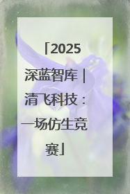 2025深蓝智库｜清飞科技：一场仿生竞赛