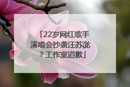 22岁网红歌手演唱会抄袭汪苏泷？工作室道歉
