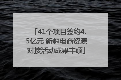 41个项目签约4.5亿元 新疆电商资源对接活动成果丰硕
