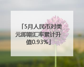 5月人民币对美元即期汇率累计升值0.93%