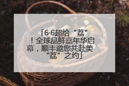 6·6超给“荔”！全球品鲜嘉年华启幕，顺丰邀您共赴美“荔”之约