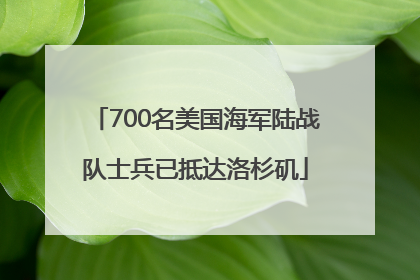 700名美国海军陆战队士兵已抵达洛杉矶