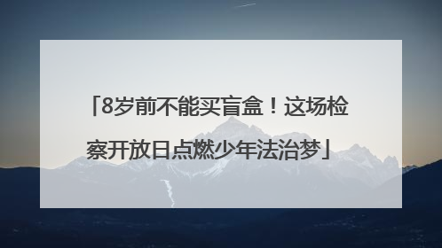 8岁前不能买盲盒！这场检察开放日点燃少年法治梦
