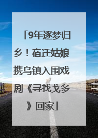 9年逐梦归乡！宿迁姑娘携乌镇入围戏剧《寻找戈多》回家