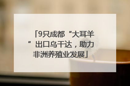 9只成都“大耳羊”出口乌干达，助力非洲养殖业发展