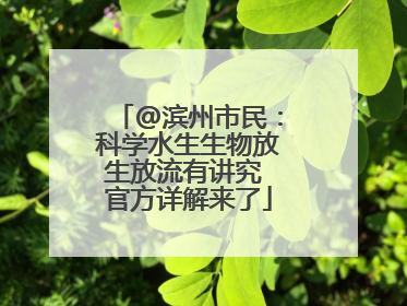 @滨州市民：科学水生生物放生放流有讲究 官方详解来了