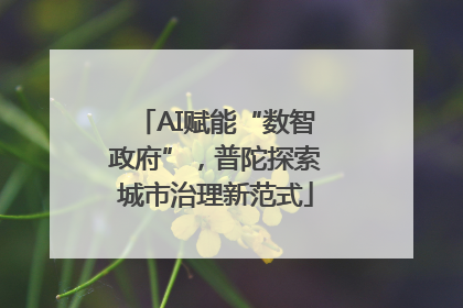 AI赋能“数智政府”，普陀探索城市治理新范式