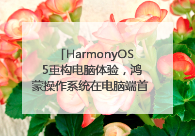 HarmonyOS 5重构电脑体验，鸿蒙操作系统在电脑端首次亮相丨新经济观察