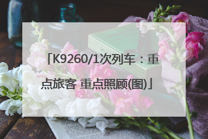 K9260/1次列车：重点旅客 重点照顾(图)
