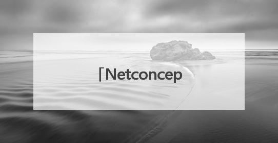 Netconcepts耐特康赛斩获第十六届虎啸奖“年度综合服务商”大奖
