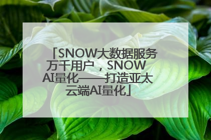 SNOW大数据服务万千用户，SNOW AI量化——打造亚太云端AI量化